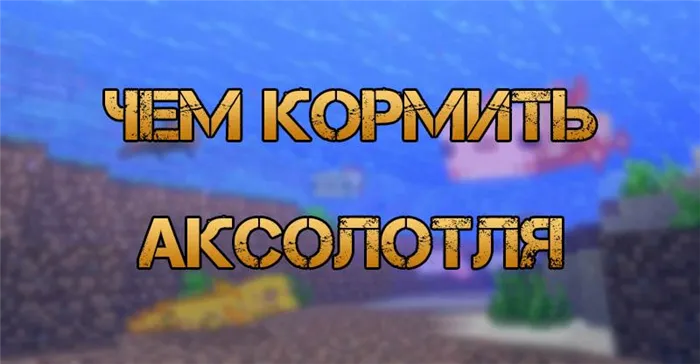 Чем кормить аксолотля в Minecraft