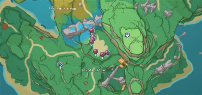 Места произрастания дендробиума в МагууКенки