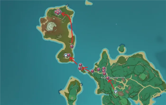 Местонахождение дендробиума в лагере Куджо