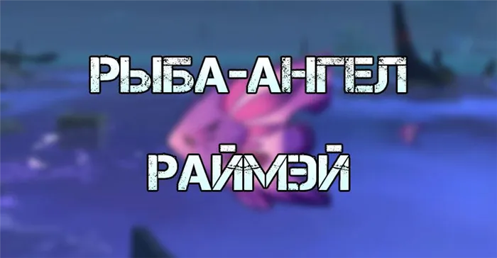 Где поймать Рыба-ангел Раймэй в Genshin Impact