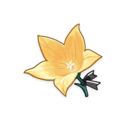 Инструктор